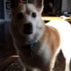 Meet your Posher, Jackson